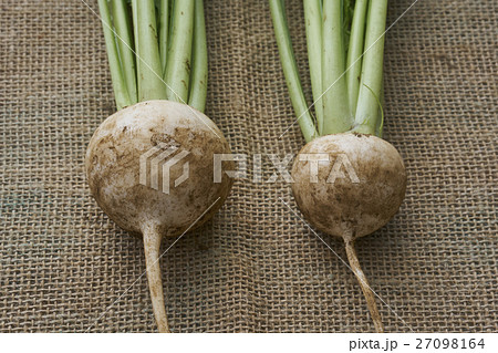 産直野菜 産直野菜 27098164