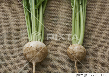 産直野菜 産直野菜 27098170
