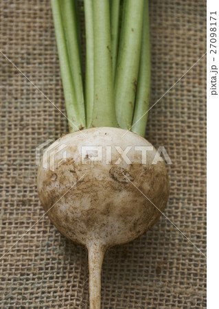 産直野菜 27098171