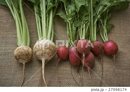 産直野菜 27098174