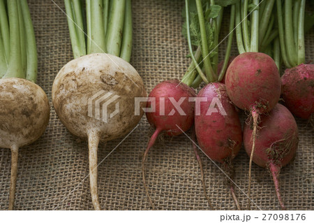 産直野菜 産直野菜 27098176