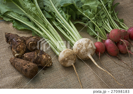 産直野菜 産直野菜 27098183