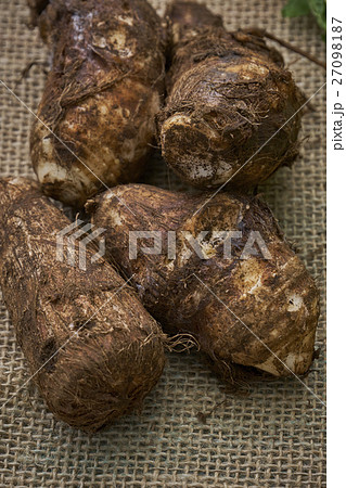 産直野菜 27098187