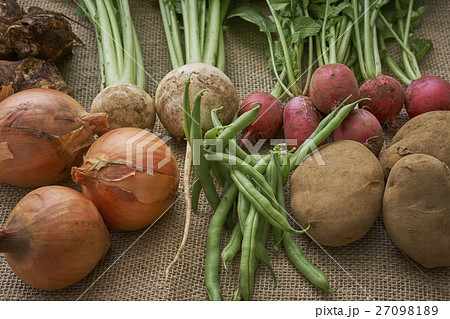 産直野菜 産直野菜 27098189