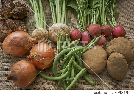 産直野菜 産直野菜 27098196