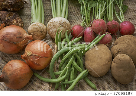 産直野菜 産直野菜 27098197