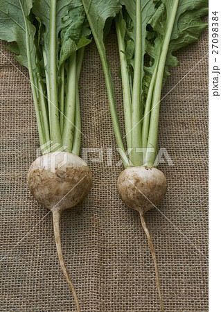 産直野菜 産直野菜 27098384