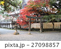 もみじ 27098857