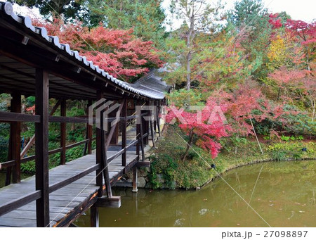 秋の高台寺 秋の高台寺 27098897