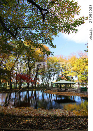 塚山公園の野鳥の森 塚山公園の野鳥の森 27099088