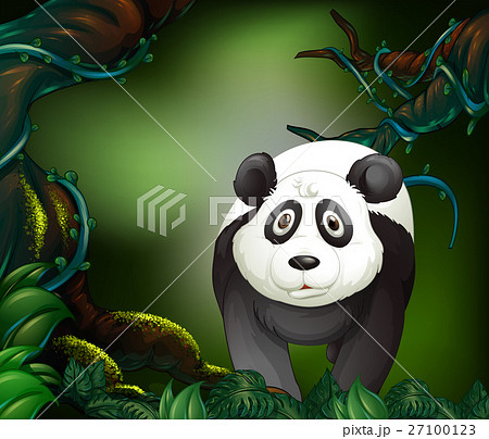 Panda in a rain forest 27100123