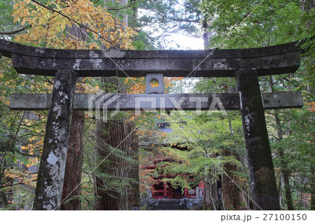 日光二荒山神社 別宮 滝尾神社 運試しの鳥居 日光二荒山神社 別宮 滝尾神社 運試しの鳥居 27100150