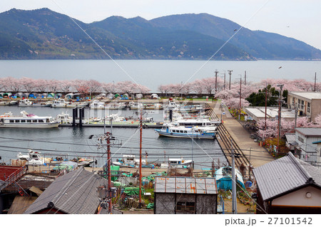 沖島港の春 沖島港の春 27101542