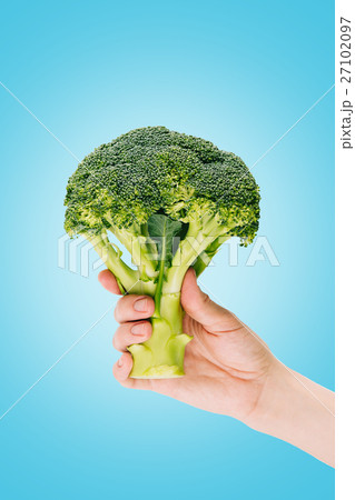 Hand holding huge broccoli 27102097