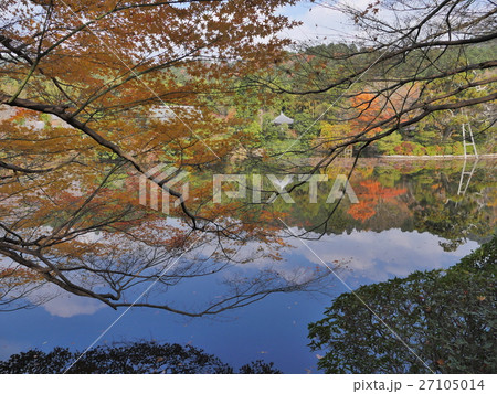 京都・龍安寺 27105014