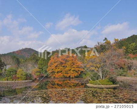 京都・龍安寺 27105015