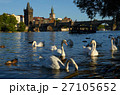 Cruise in Prague A Boat Between Herd of Swans and 27105652