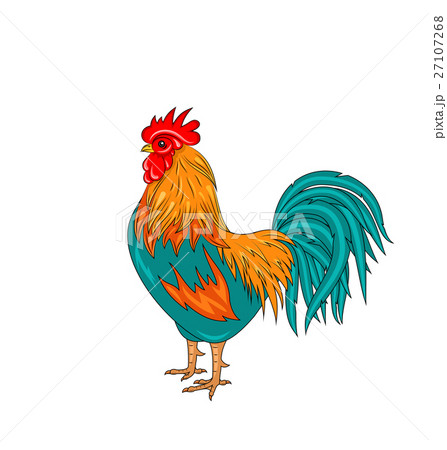 Rooster Isolated on White Background Rooster Isolated on White Background 27107268