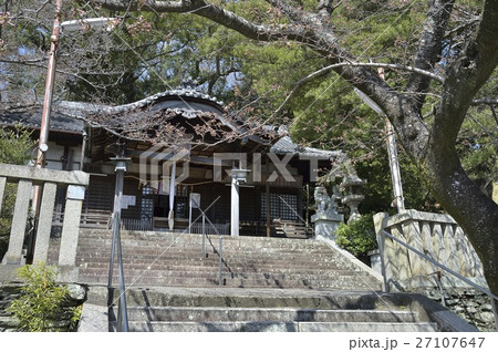 中言神社 中言神社 27107647