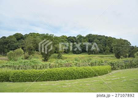 巣山古墳　馬見古墳群　馬見丘陵公園 27107892