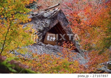 宝厳院　紅葉　無畏庵　 27107897