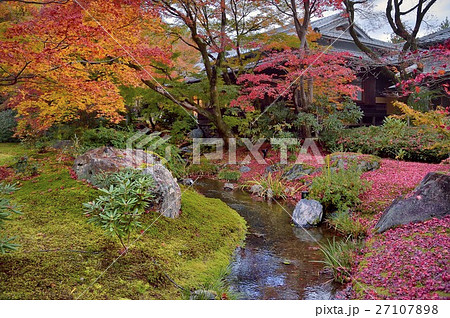 宝厳院 紅葉 日本庭園 宝厳院 紅葉 日本庭園 27107898