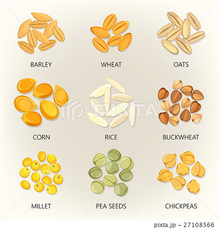 Bean and grains of seasonal plant, seed icons Bean and grains of seasonal plant, seed icons 27108566