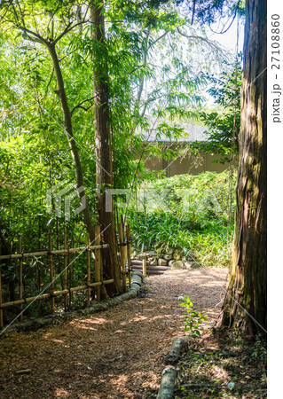 秩父宮記念公園の遊歩道 27108860