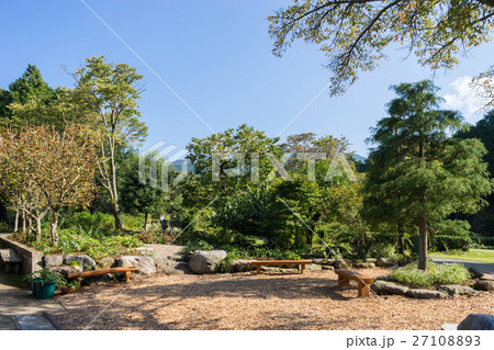 秩父宮記念公園の庭園 27108893