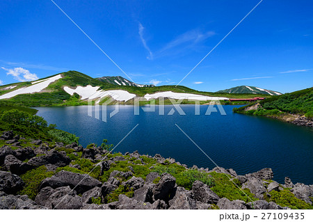 長野　北アルプス　白馬大池 27109435