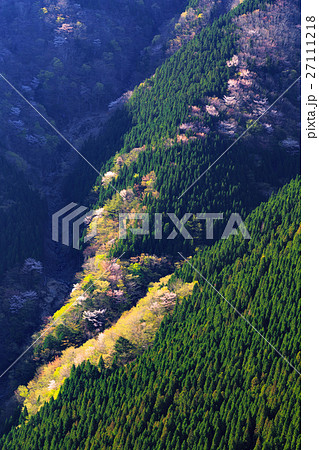 春のナメゴ谷 27111218