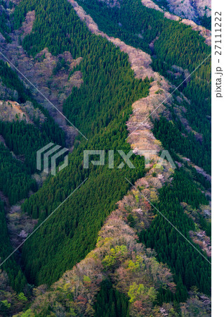 春のナメゴ谷 27111222