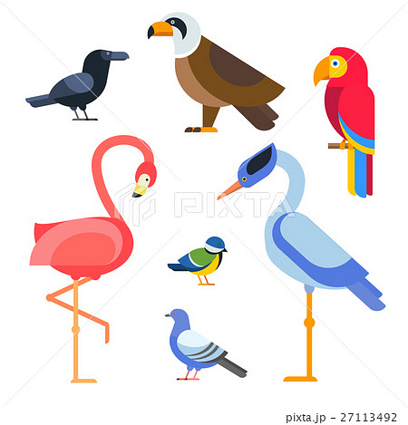 Birds vector set illustration isolated Birds vector set illustration isolated 27113492