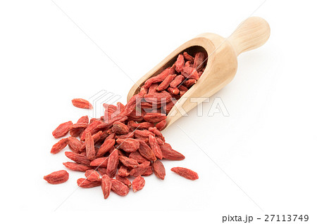 ゴジベリー（クコの実）: Goji berry 27113749