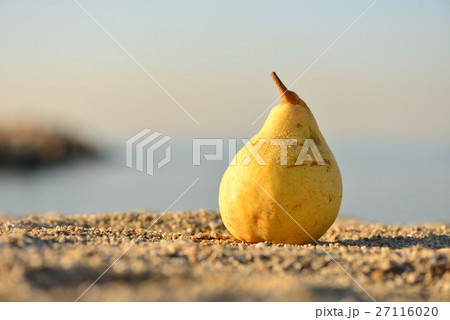 海辺の洋ナシ・ルレクチエ 27116020