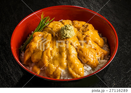 北海道産 最高級ウニ丼 Sea Urchin Bowl Highest Gradの写真素材