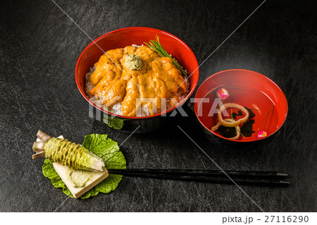 北海道産 最高級ウニ丼 Sea Urchin Bowl Highest Gradの写真素材