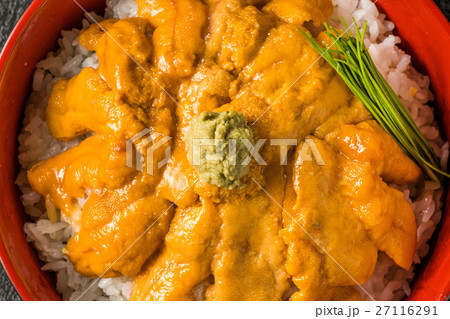 北海道産 最高級ウニ丼 Sea Urchin Bowl Highest Gradの写真素材