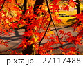 紅葉 27117488
