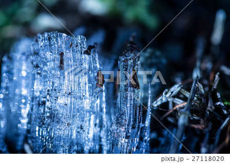 煌めく霜柱 27118020