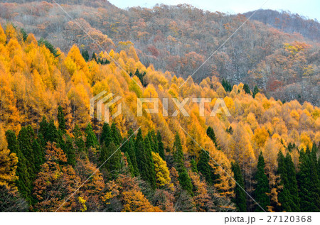 五色沼の周辺景 27120368