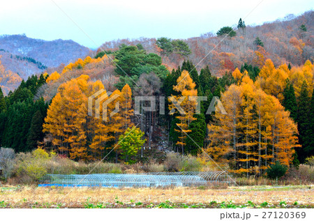 五色沼の周辺景 27120369
