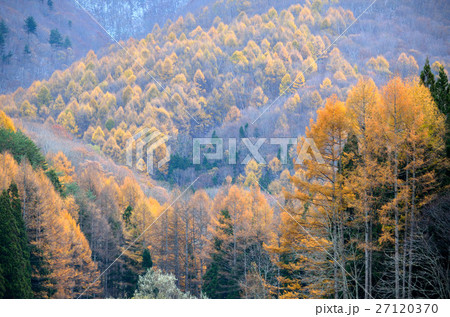五色沼の周辺景 27120370