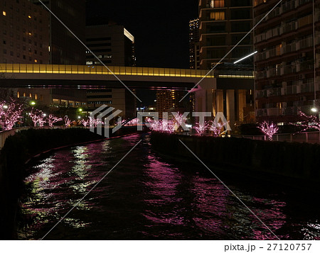 目黒川みんなのイルミネーション 目黒川みんなのイルミネーション 27120757