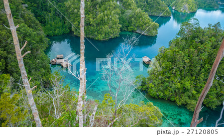 Bamboo Hut in Mangrove, Kabui Bay, Raja Ampat 27120805