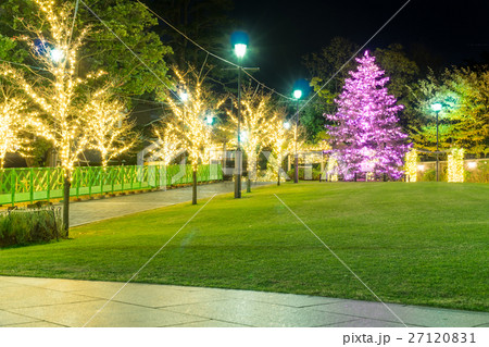 横浜山手 アメリカ公園のイルミネーション 2016 27120831