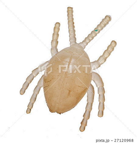 toy replica beetle, isolated on a white background 27120968