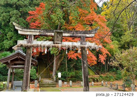 一乗谷朝倉氏遺跡春日神社 27124429