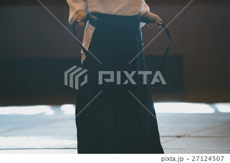 martial artist martial artist 27124507