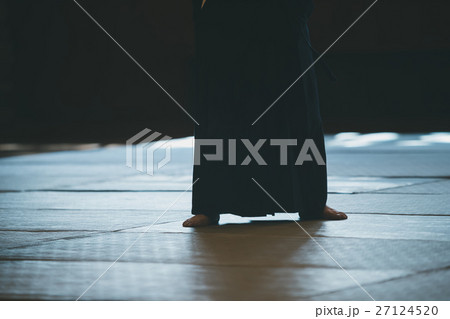 martial artist martial artist 27124520